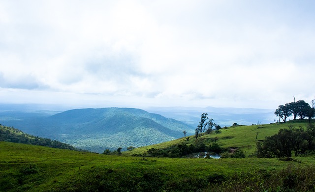 他都能精准 他都能精准
