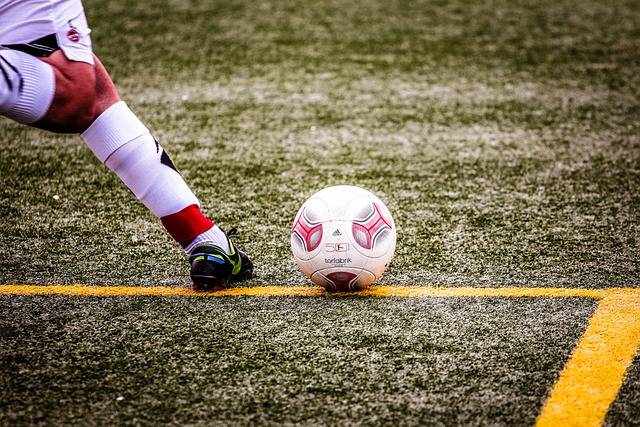 的职业生涯 的职业生涯