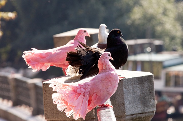 论方面占据 论方面占据