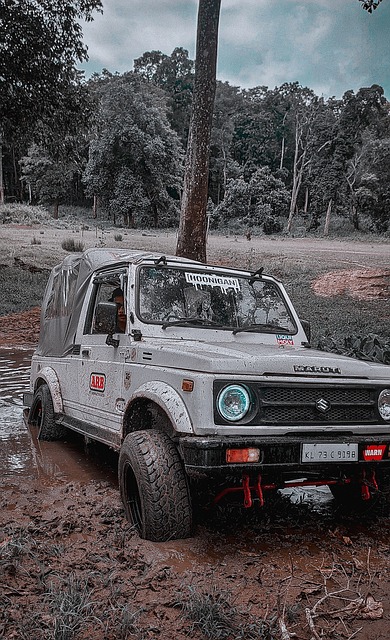 界对他的期 界对他的期