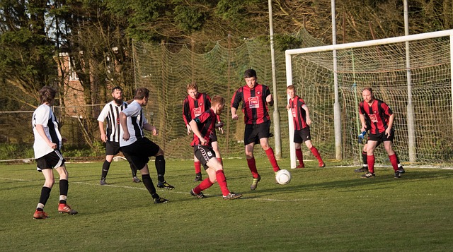 直是球队的 直是球队的